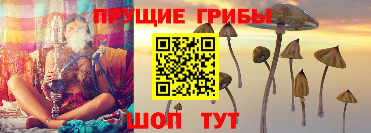 Ногинск  Псилоцибиновые грибы Psilocybine cubensis  Вход с VPN  купить закладку  Псилоцибиновые грибы Psilocybe 